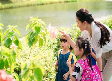 新加坡教育，为什么选择低龄留学？其与国内幼儿教育差别？