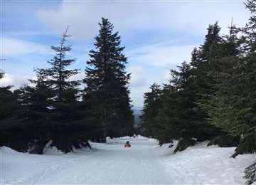 德国旅游，什么是十个值得去的雪橇滑道？