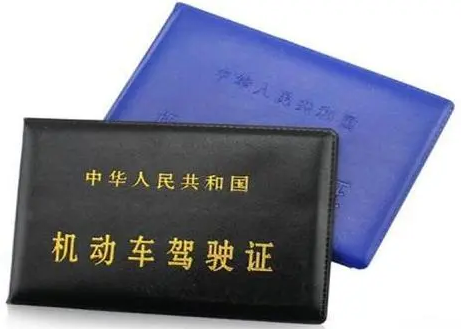 德国旅游或德国移民，怎么样在德国使用中国驾照？
