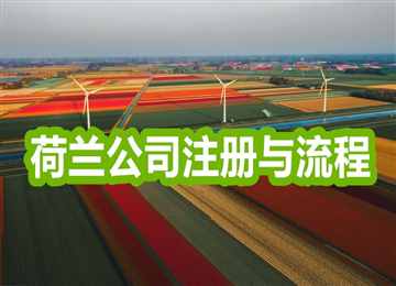 荷兰移民，什么是2022年荷兰开公司的注意事项？