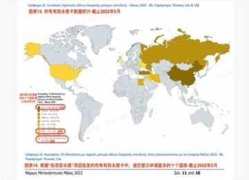 希腊签证，什么是2022年希腊移民签证大数据？