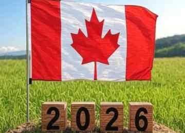 想要移民加拿大，2026-2028年的出路在哪里？